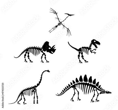 Dinosaur silhouettes set. Silhouette of dinosaur skeletons  dinosaur bones. Diplodocus  Tyrannosaurus rex  Triceratops  Centrosaurus  Pterodactyl. Modern vector design image isolated on white.