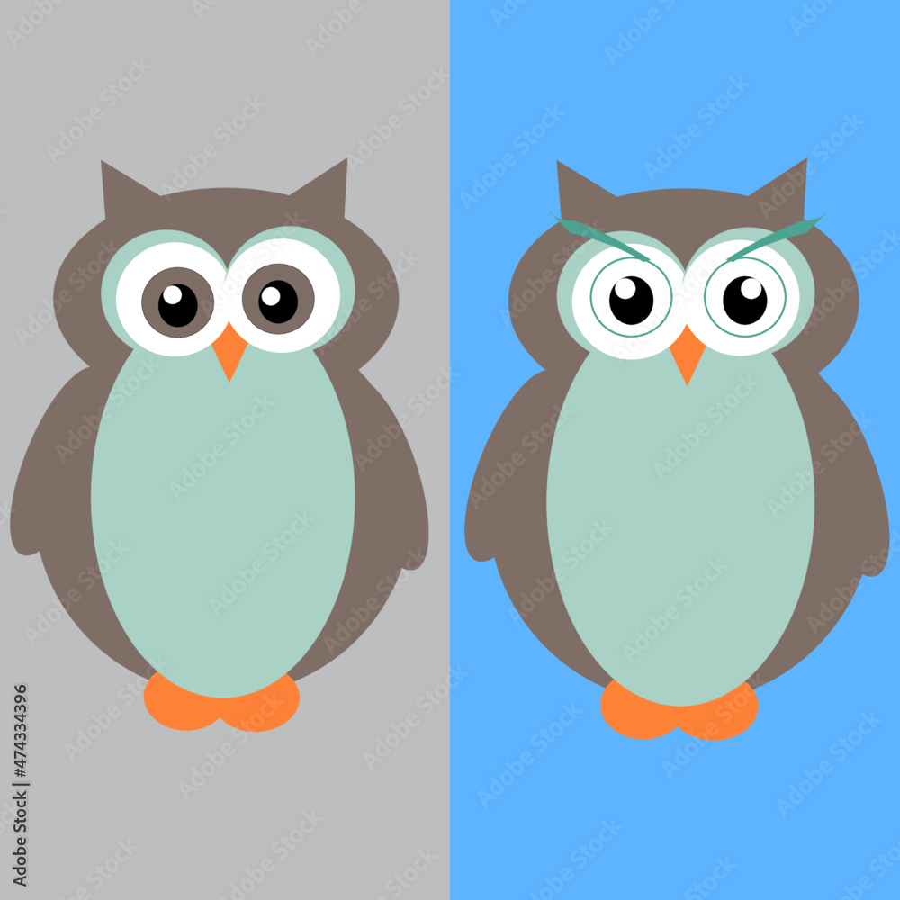 two owls in a different background