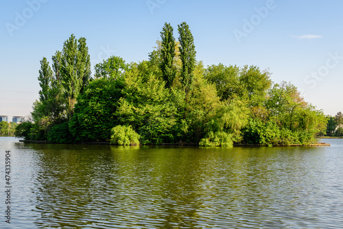 Landscape with one green island on Herastrau lake in King Michael I Park in Bucharest  Romania   in a sunny spring day.