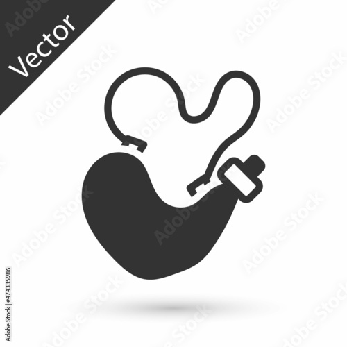 Grey Spanish wineskin icon isolated on white background. Vector