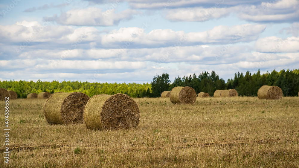 a bale of straw in the field