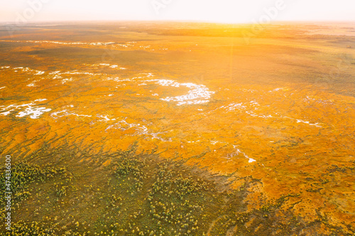 Miory District, Vitebsk Region, Belarus. The Yelnya Swamp. Upland And Transitional Bogs With Numerous Lakes. Elevated Aerial View Of Yelnya Nature Reserve Landscape. Famous Natural Landmark photo