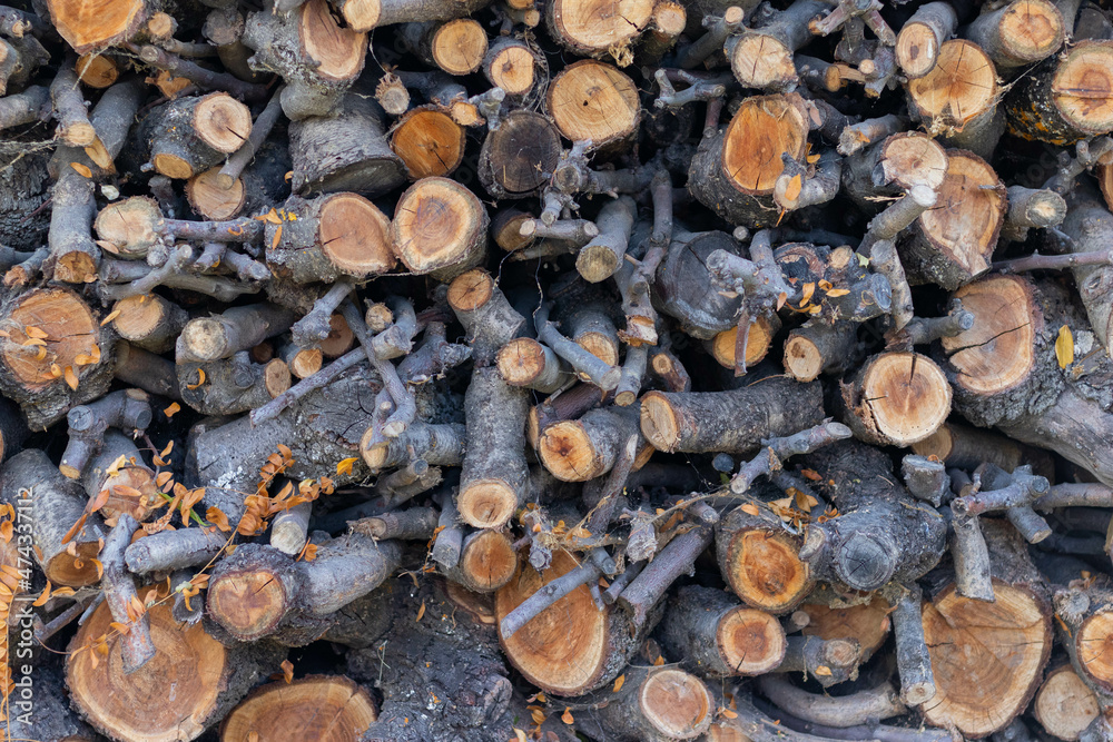 Fototapeta premium Closeup of chopped dry firewood logs in a stack ready for burning.