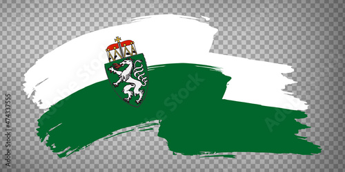 Flag of Styria brush strokes. Waving flag of Styria on transparent background for your web site design, app, UI. Austria. EPS10.
