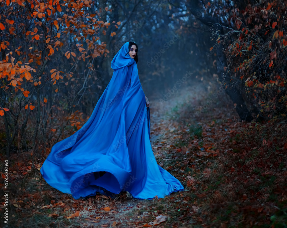 Gothic mysterious woman walks in fantasy autumn forest. long silk blue