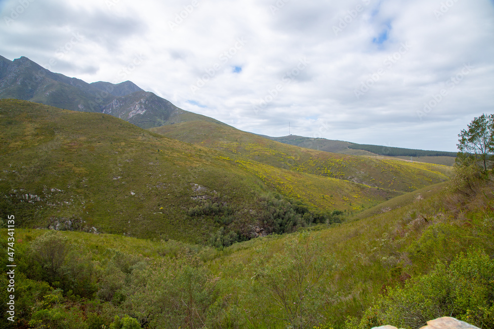 Naklejka premium Landscape along the Montagu Pass in the north of George in the Western Cape of South Africa