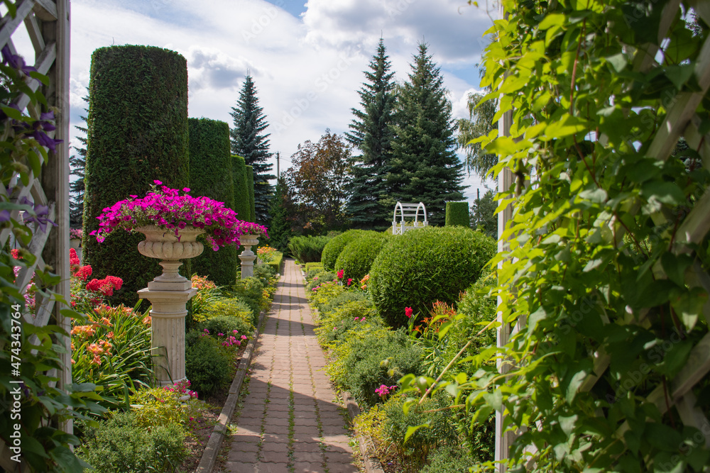 Landscape design of a garden plot: a hot summer day, plants at home in the sun, a beautiful design of a summer topiary garden with an alley of evergreen plants trimmed with figures 