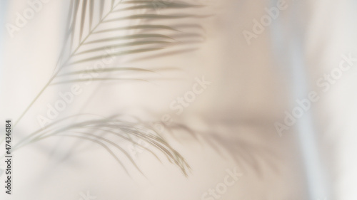 Palm leaves shadow on beige background, freeze motion