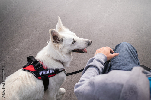 Man with disability with his service dog using electric wheelchair.