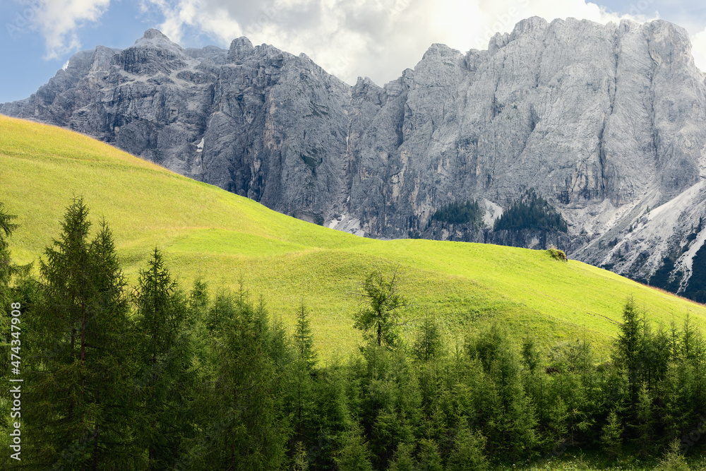 Fototapeta premium Hill with fresh green grass in the Italian Dolomites