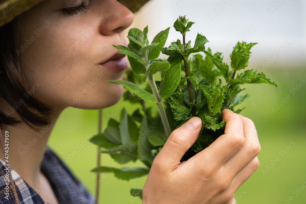 A young girl gardener in a straw hat holds a bouquet of harvested fresh mint. A young girl gardener in a straw hat holds a bouquet of harvested fresh mint.