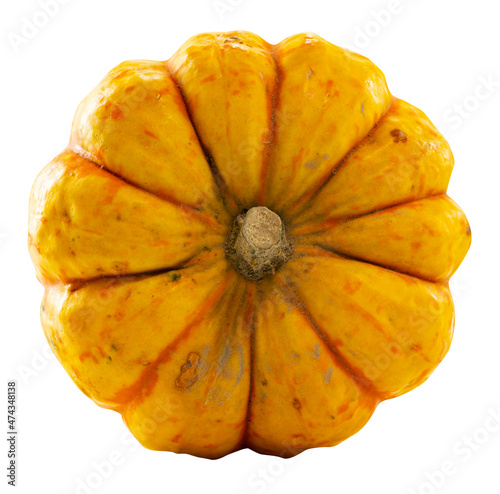 Wallpaper Mural Kürbis Torontodigital.ca