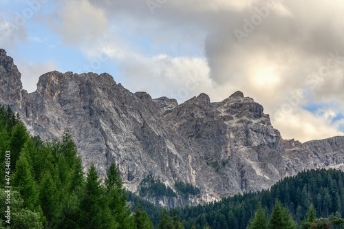 Italian Dolomites and coniferous forest in the evening after rain