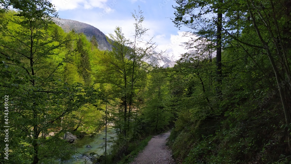 Tolmin Gorge in Triglav national park, Slovenia Tolmin Gorge in Triglav national park, Slovenia