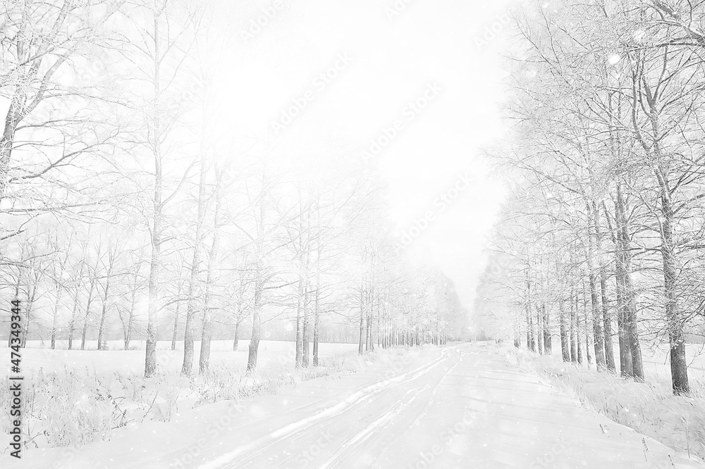 Obraz premium winter road top view, frost forest landscape outdoor
