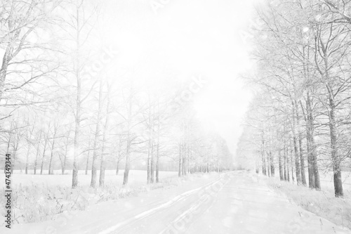winter road top view, frost forest landscape outdoor