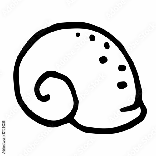 Vector snail shell in doodle style. Hand-drawn striped seashell isolated on white background. Mollusk symbol for web-design.