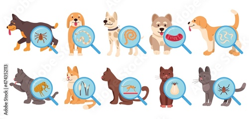Dog and cat parasites set. Cartoon vector illustration