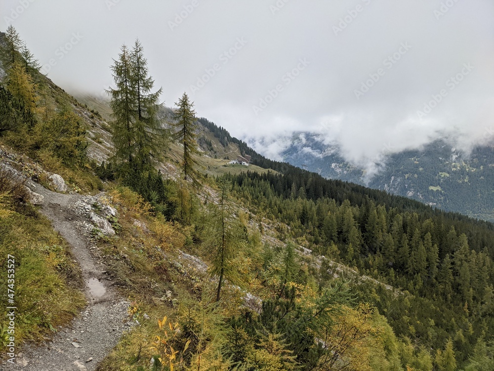Trail at Gotschna Davos Klosters Grisons Switzerland at auntum with rocks, colorful leaves and cloudy sky.