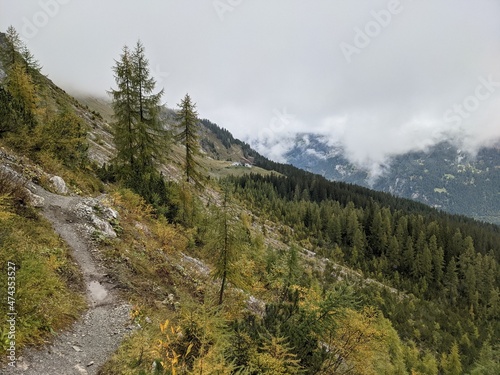 Trail at Gotschna Davos Klosters Grisons Switzerland at auntum with rocks, colorful leaves and cloudy sky.