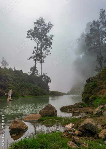 fog on the river