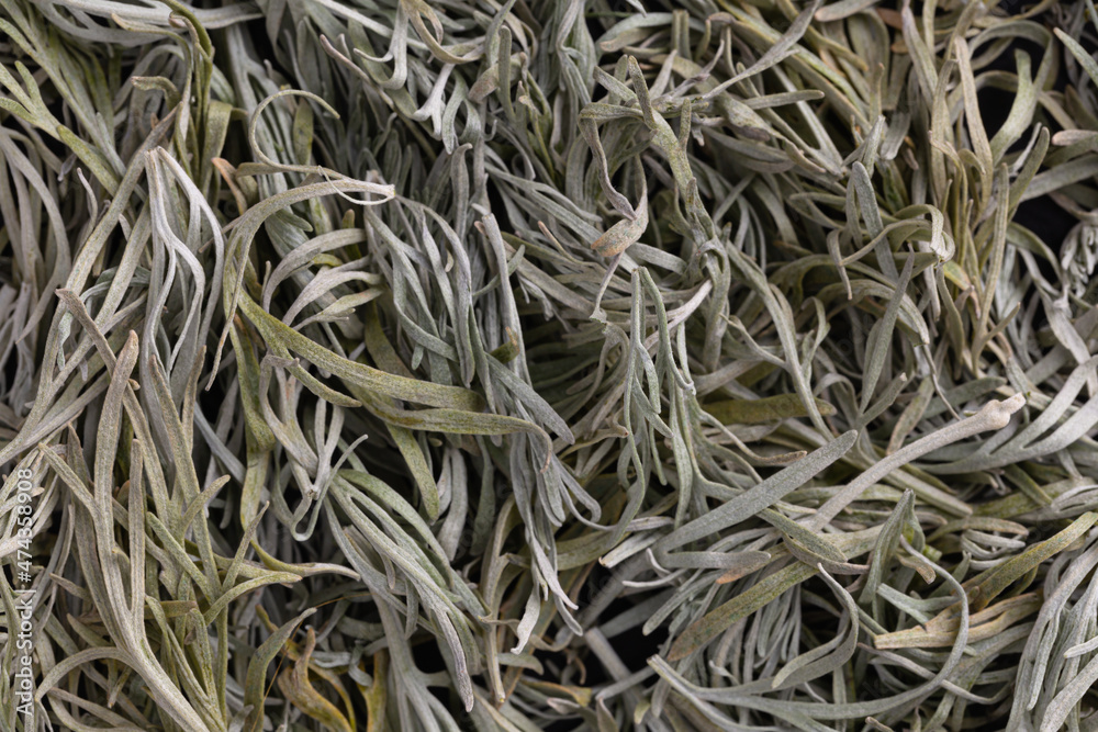 close up of dried Artemisia absinthium leaves close up of dried Artemisia absinthium leaves