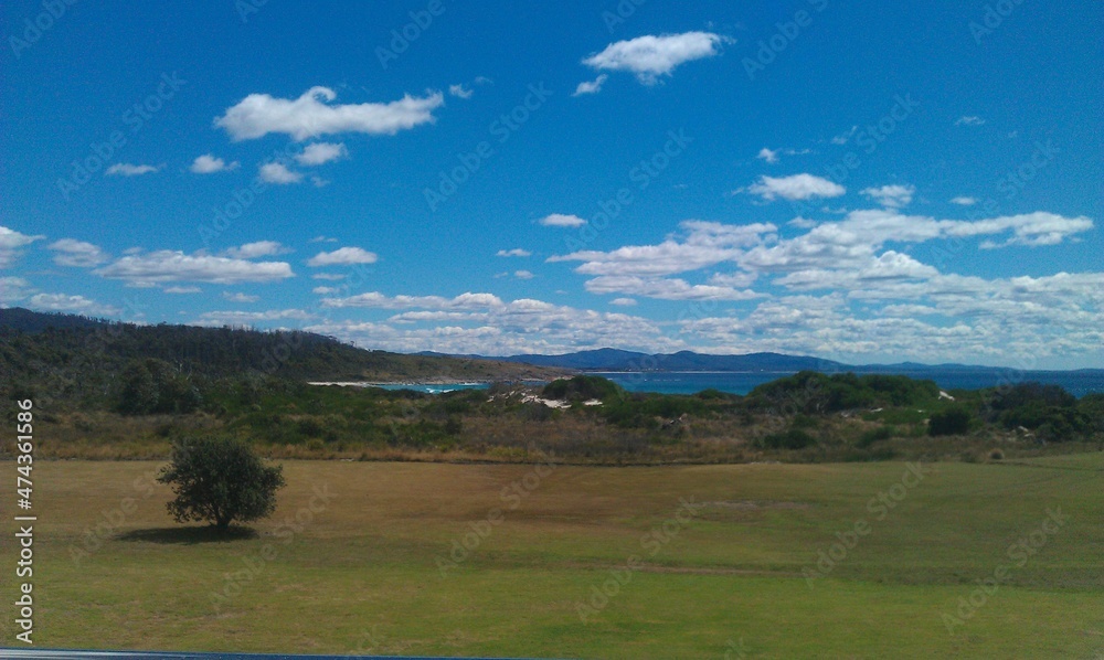 Fototapeta premium nature