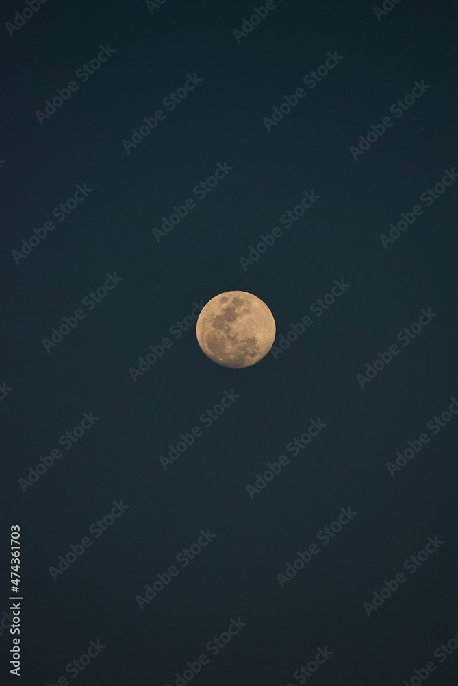 Almost full Moon against a dark blue sky in romantic sunset Almost full Moon against a dark blue sky in romantic sunset