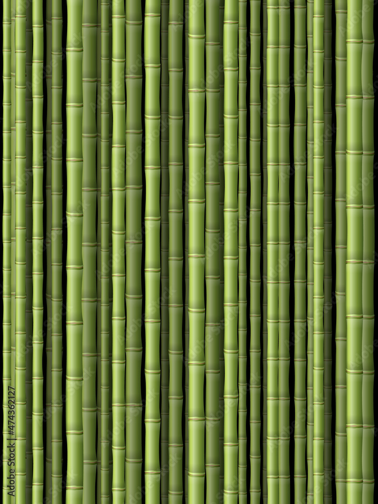 Obraz premium Bamboo background