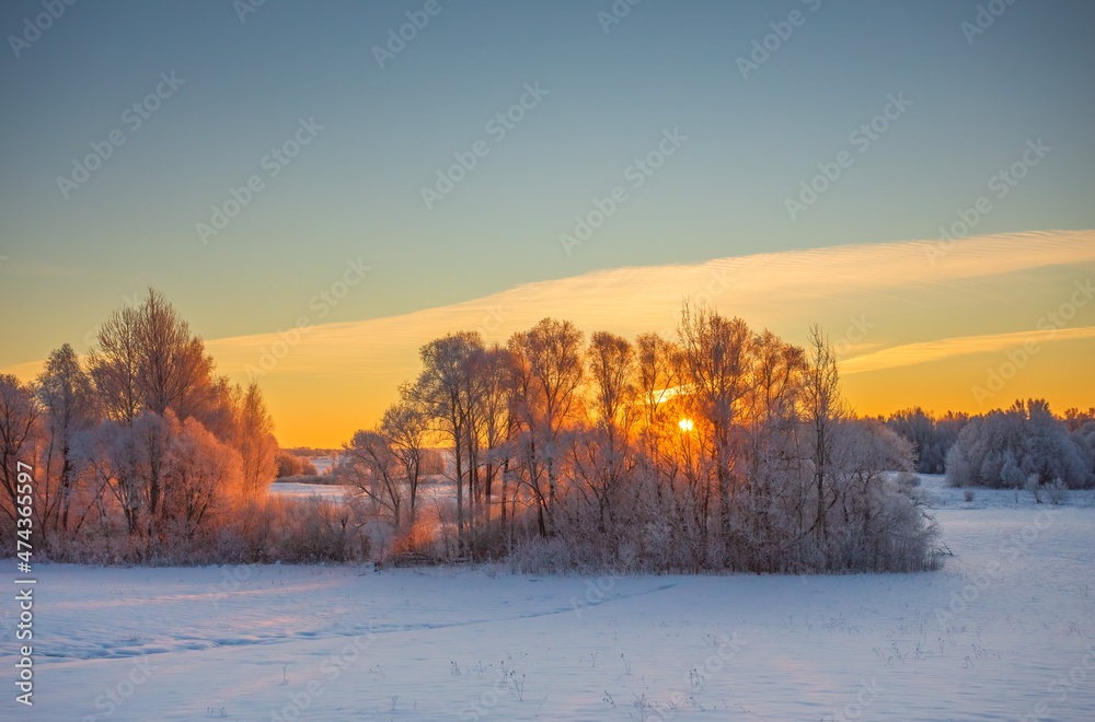 Cold winter morning with red sunlight and frost cover on the trees, extremely cold winter conditions Cold winter morning with red sunlight and frost cover on the trees, extremely cold winter conditions