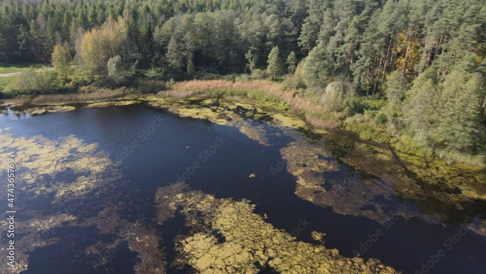 A flight over the lake.Autumn over Lake Komosa and in the forests of Podlasie. A flight over the lake.Autumn over Lake Komosa and in the forests of Podlasie.