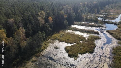 A flight over the lake.Autumn over Lake Komosa and in the forests of Podlasie. photo