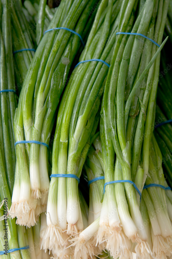 Fresh scallions in a Frame's Market. Fresh scallions in a Frame's Market.