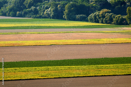 Colorful fields in the autumn near Bratislava, Slovakia