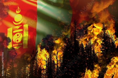 Forest fire natural disaster concept - heavy fire in the trees on Mongolia flag background - 3D illustration of nature