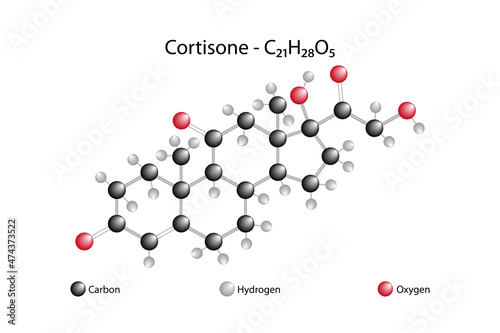 Molecular formula of cortisone. Cortisone is a hormone with anti-inflammatory properties secreted by the shell region of the adrenal gland. photo