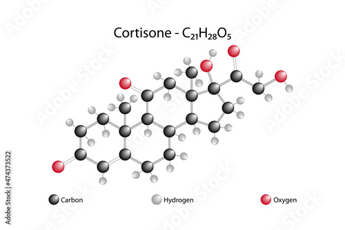 Molecular formula of cortisone. Cortisone is a hormone with anti-inflammatory properties secreted by the shell region of the adrenal gland.