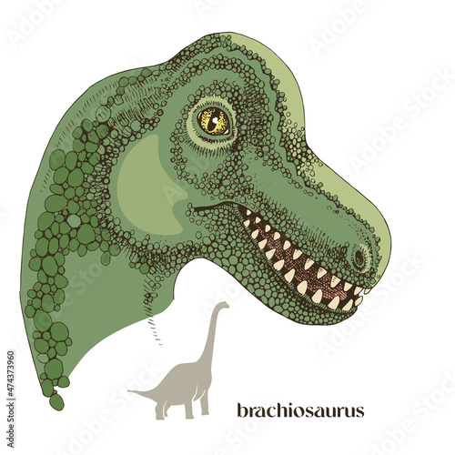 Hand drawn realistic dinosaurus Brachiosaurus