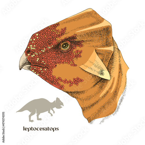 Hand drawn realistic dinosaurus Leptoceratops