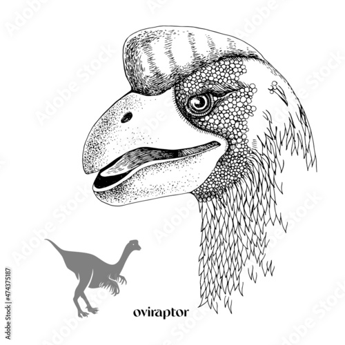 Hand drawn realistic dinosaurus Oviraptor