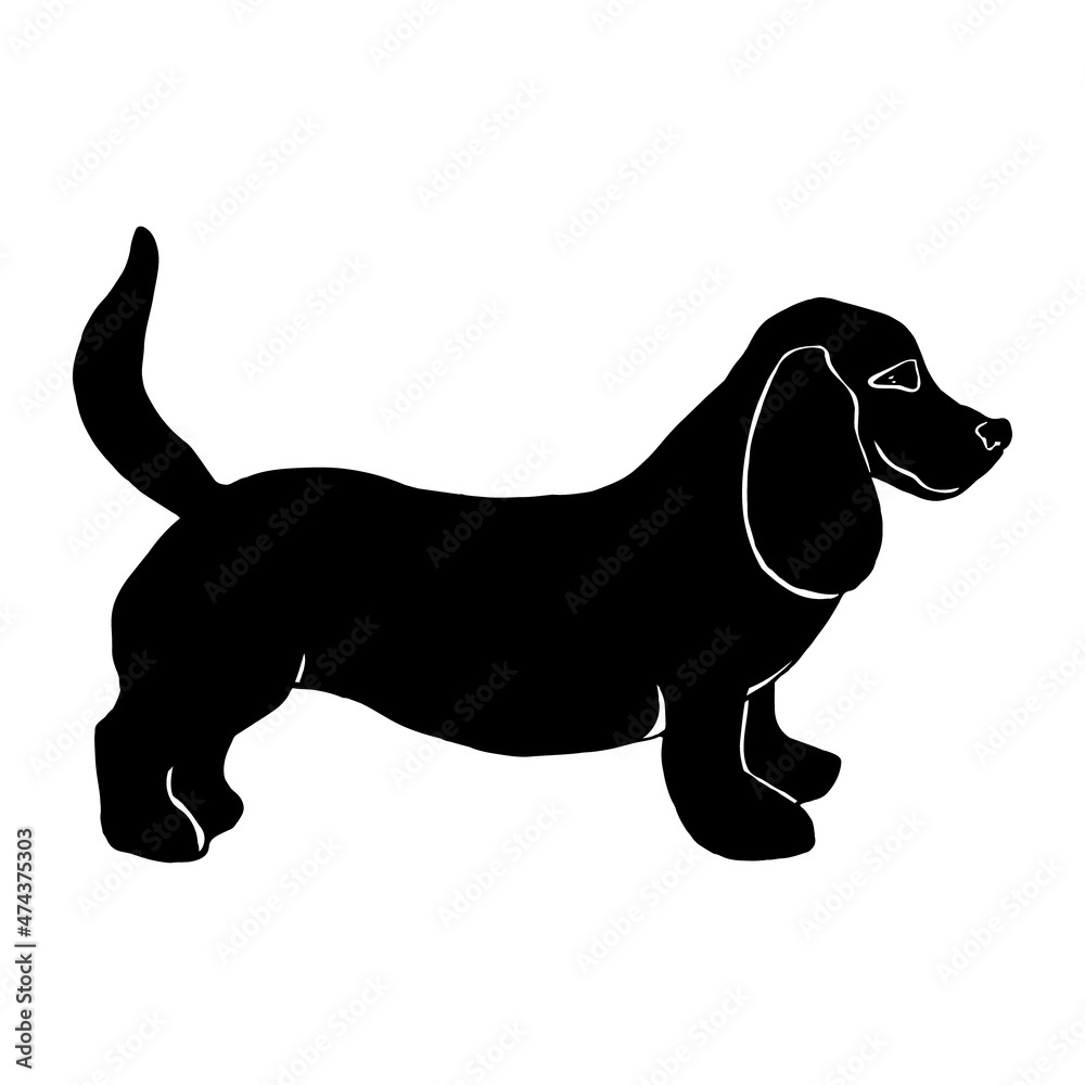Basset Hound dog,black silhouette isolated on a white background.Vector illustration, hand drawing.