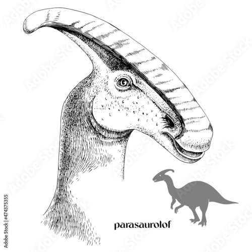 Hand drawn realistic dinosaurus Parasaurolof