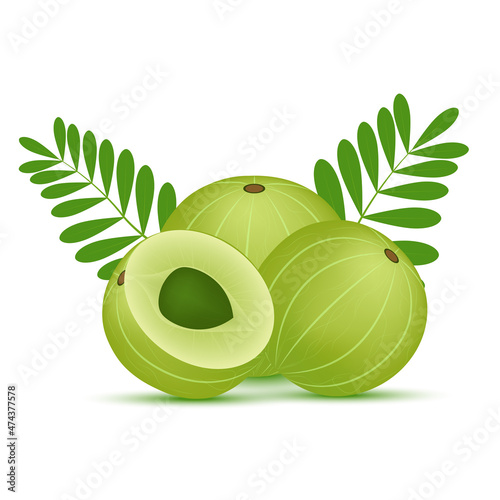 Fresh indian gooseberry or Amla fruit, amalaki with green leaves. Medicinal fruit It is very rich in Vitamin C, and contains many minerals and vitamins. On white background. 3D Vector illustration.