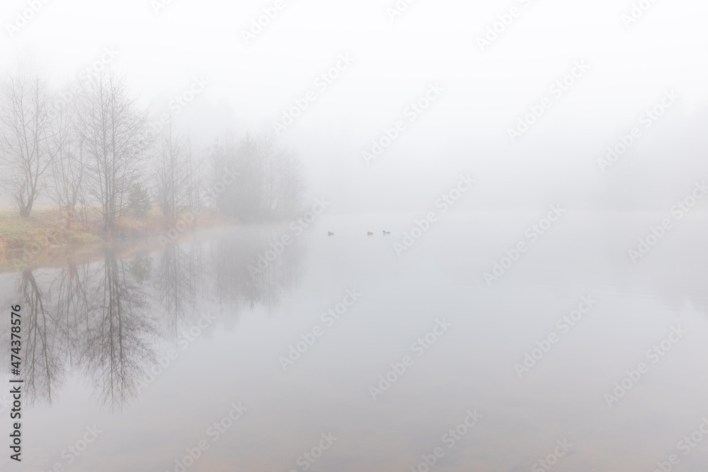 fog on the lake fog on the lake