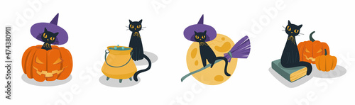Set of black cats. A cat with burning eyes looks at you in a hat on a broomstick. The cat in the pumpkin. Brews a potion. The magic book and the moon. Vector illustration.
