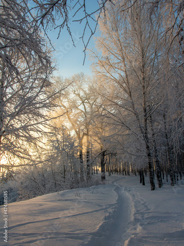 winter in the park