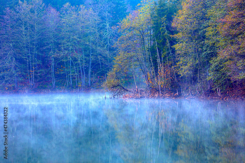 Morning evaporation of water over the lake - Amazing autumn landscape with Karagol (Black lake) - A popular destination Black Sea, Savsat, Artvin photo