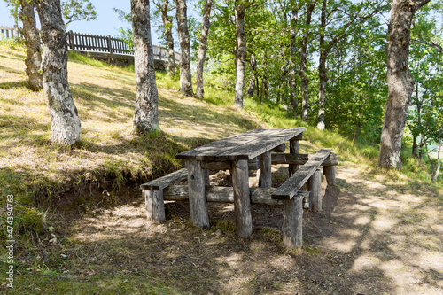Wooden picnic table and picnic place in the forest by of Pollino national park on sunny day, a wide natural reserve in Basilicata and Calabria, Italy photo