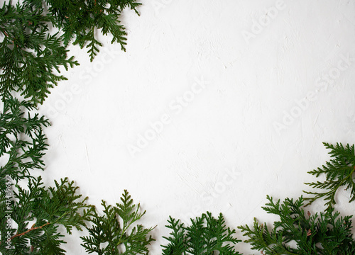 Christmas or New Year background  fir tree branches on a white background. White frame for your congratulations