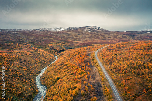 River following a lonesome road to mountains with yellow trees in autumn along the scenic Wilderness Road in Lapland in Sweden from above.